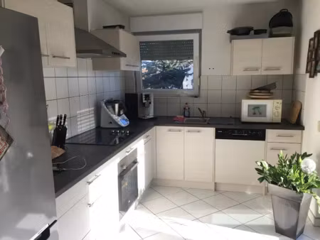 location appartement 3 pièces 80 m² à scheibenhard (67630)  810 €