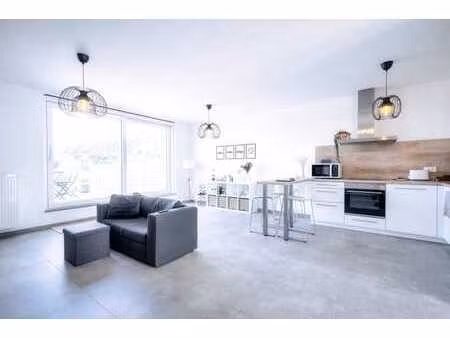 penthouse 2 chambres avec grande terrasse