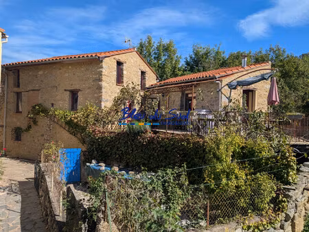 charmante maison en pierres  entièrement rénovée avec terrass