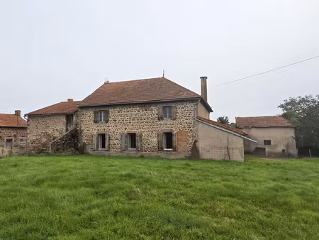 maison en pierres avec dépendances et grand potentiel  au coe