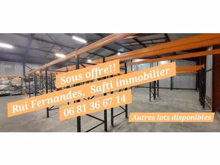 safti fernandes rui conseiller indépendant