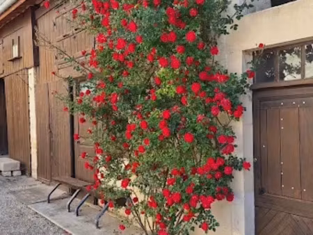 vente maison 4 pièces 114 m² à vieville (52310)  215 000 €