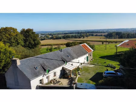 morbihan  longère en pierre  exposée sud  2 chambres  plain-pied  dépendances  1 2 hectare