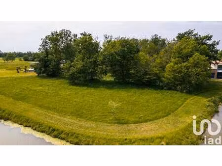 vente terrain à montauban (82000) : à vendre / 1731m² montauban