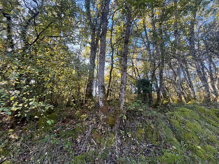 terrain 0 pièces 4630 m² à vendre / acheter saint-vincent-sur-l'isle 24420 ? | era immobil