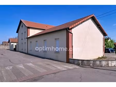 vente immeuble 550 m² trieux (54750)