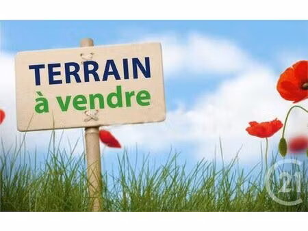 terrain à vendre - 674 m2 - st viatre - 41 - centre