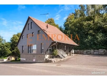 immeuble 180 m² seppois-le-haut