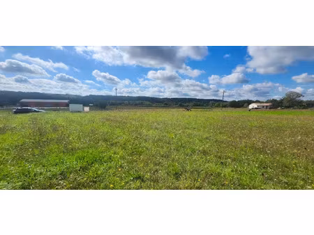 vente terrain 740 m² à saint-gauzens (81390)  70 000 €
