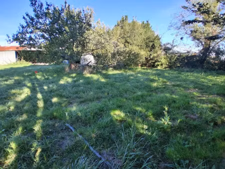 vente terrain 1086 m² à la gripperie-saint-symphorien (17620)  54 000 €