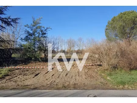 vente terrain 530 m² à saint-gauzens (81390)  52 000 €