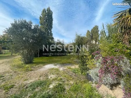 terrain 1338 m² andard