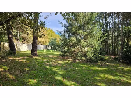 vente terrain 2000 m² à lesparre-médoc (33340)  254 400 €
