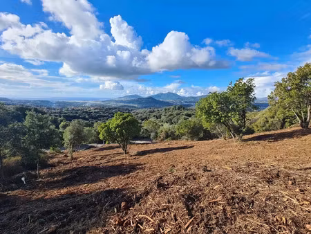 vente terrain 2040 m² à bastelicaccia (20129)  340 000 €