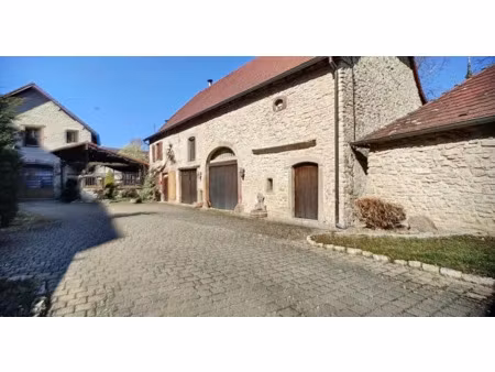 vente immeuble 267 m² à fénétrange (57930)  472 500 €