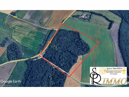 terrain foret de 118 422 m2