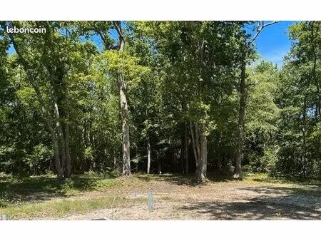 terrain 871 m² blanquefort