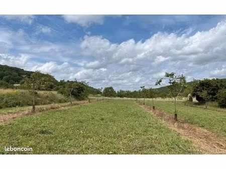 terrain 6 099 m² jayac