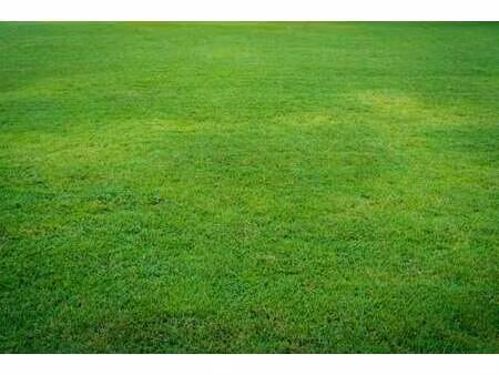 vente terrain à loudéac (22600) : à vendre / 9160m² loudéac