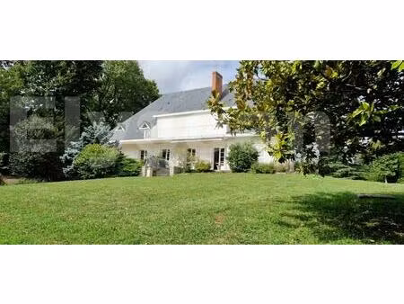 rare ! bords de loire  très belle maison sur un magnifique terrain de 6800 m²