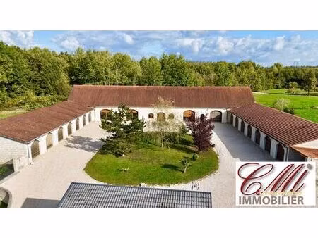 maison de prestige de 215 m2 en vente pargny-sur-saulx  grand est