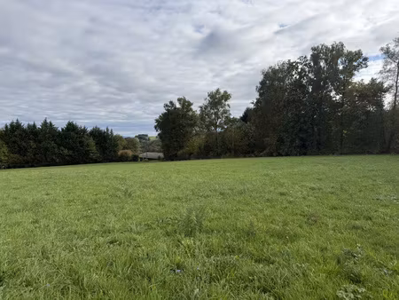 achat terrain 2 600m² juillac 19350