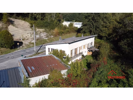 viager occupé à bonne (74380) – maison 5 pièces  130 m²  sous-sol  terrain 1 775 m²  ancie