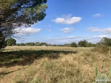 terrain 19 839 m² palau del vidre