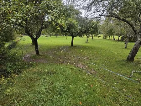 terrain 3600 m² xirocourt