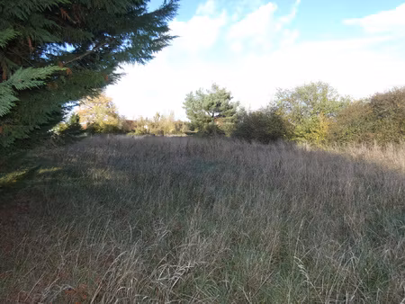 achat terrain 1 339m² venoy 89290