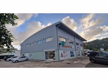 local commercial ou professionnel 78 m2 neuf r+1 - la semai  martinique