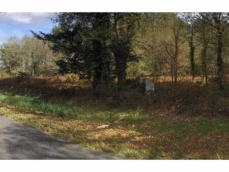 terrain 8438m2  semi forestier  de loisirs  proche de dax