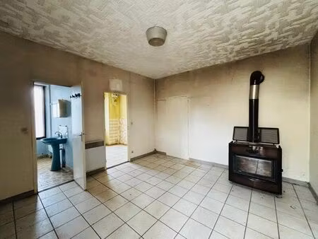 vente maison 2 pièces 42 m² lunery (18400)