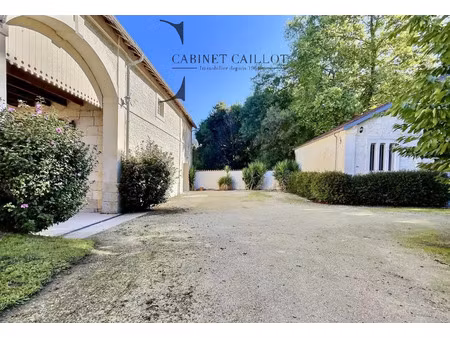 vente maison 12 pièces 380m2 nieul-lès-saintes 17810 - 783750 € - surface privée