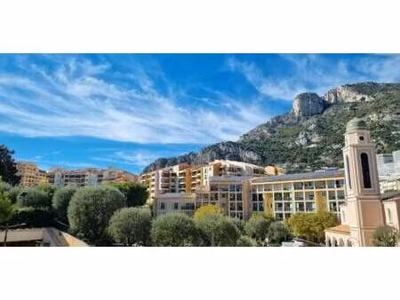 appartement avec terrasse monaco (98)