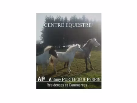 centre equestre en centre bretagne  murs commerciaux