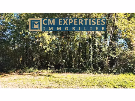 vente terrain à batir 5254 m² à montrem (24110)  35 000 €