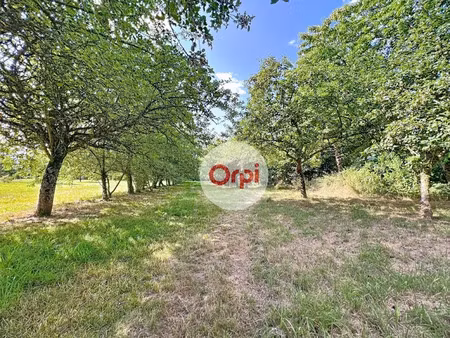 vente terrain à batir 565 m² à pluherlin (56220)  46 000 €