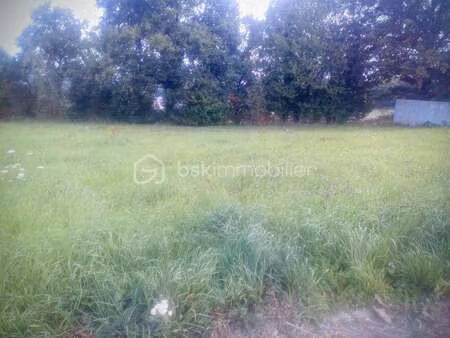 vente terrain à martigné-ferchaud (35640) : à vendre / 721m² martigné-ferchaud