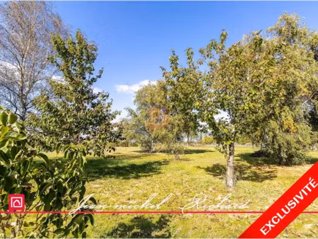 vente terrain 5550 m² à billy (41130)  50 000 €