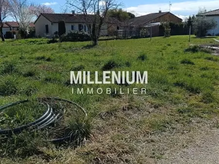 vente terrain 585 m² à gaillac (81600)  75 000 €