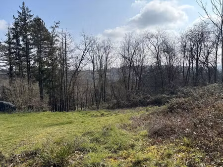 vente terrain 3327 m² à graulhet (81300)  76 000 €