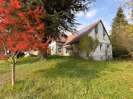 proximité truchtersheim  maison individuelle  bord champs  7