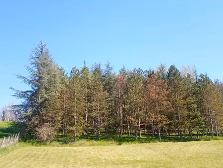 vente terrain 4000 m² à lombers (81120)  84 000 €