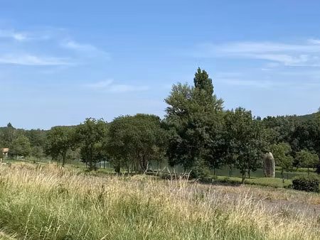vente terrain 5533 m² à lauraguel (11300)  97 200 €