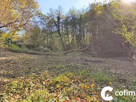 vente terrain à batir 5330 m² à saint-julien-en-born (40170)  130 000 €