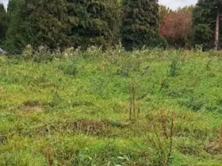 vente terrain 701 m² à saint-jean-du-cardonnay (76150)  125 000 €