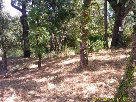 vente terrain 1200 m² à les mayons (83340)  180 000 €