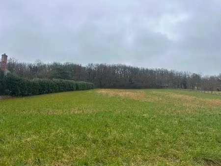 vente terrain 2700 m² à boissy-sous-saint-yon (91790)  299 000 €