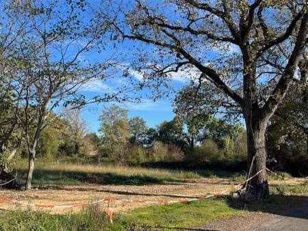 trinel valérie capifrance